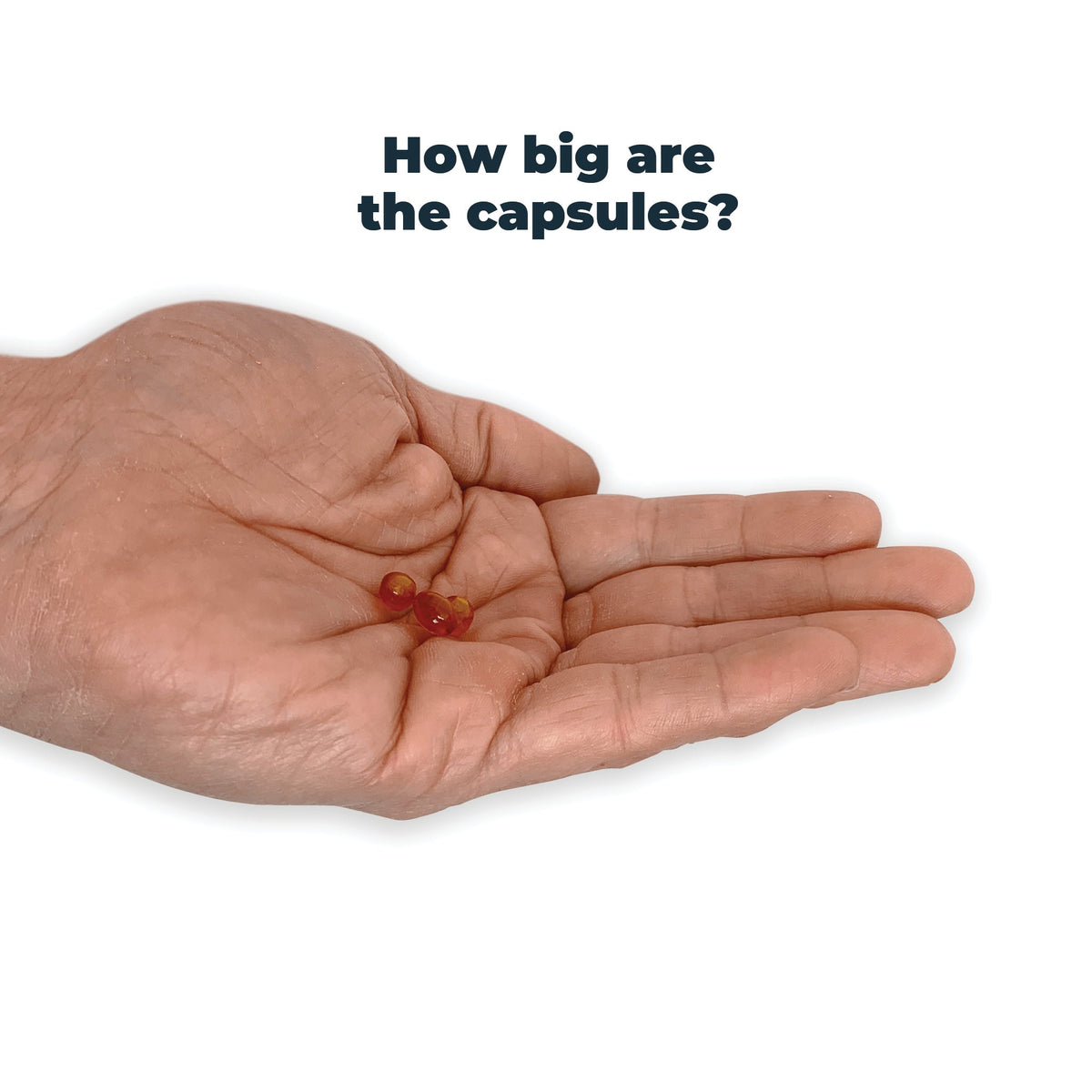 Antinol Plus capsule shown in a hand for size