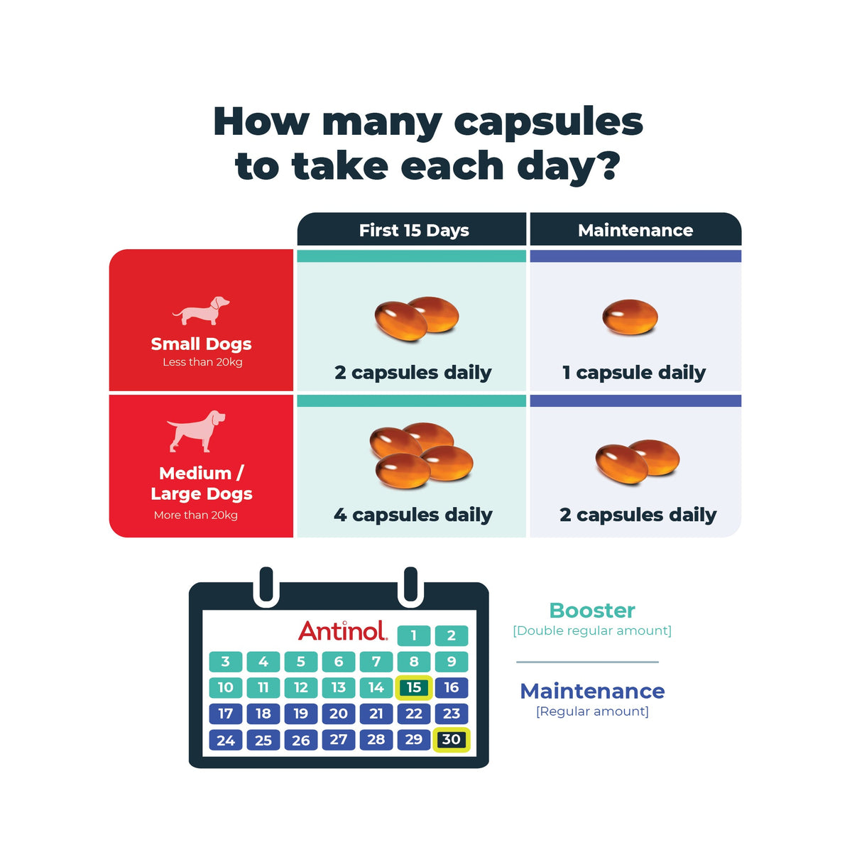 Antinol Plus for Dogs daily capsule guide by dog size