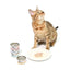 CAT FOREST Classic Tuna White Meat with Seabream in Gravy Canned Cat Food 85g