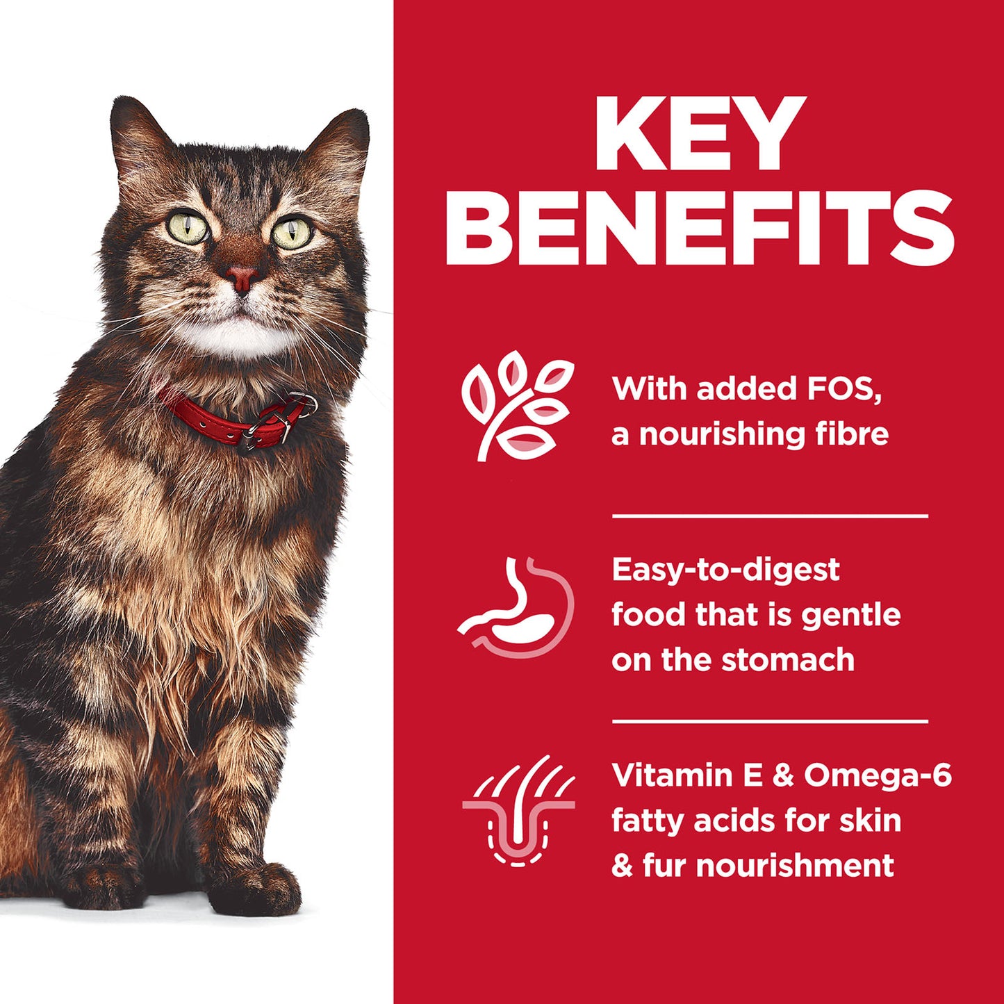 Hill's Science Diet Adult Cat Wet Food Sensitive Skin and Stomach Variety Pack 80g x 12