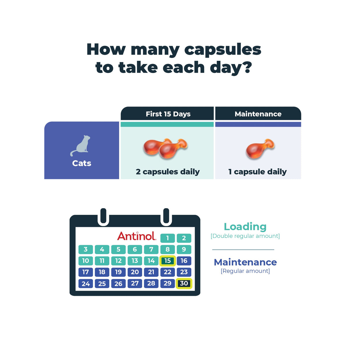 Antinol Plus for Cats daily capsule guide