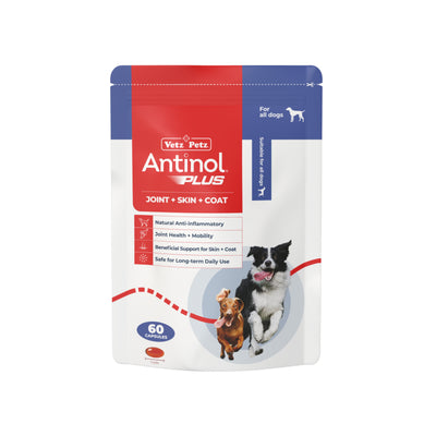 Antinol Plus for Dogs 60 capsules pouch, front of pack