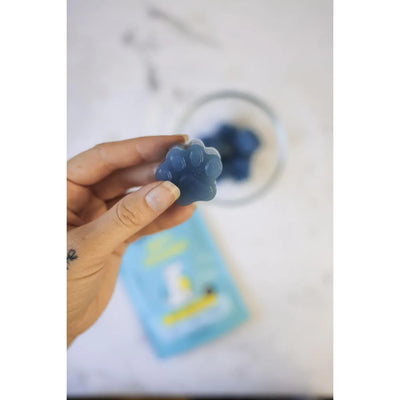 Raw Pawz DIY Gummies Immunity Blueberry Boost 90g