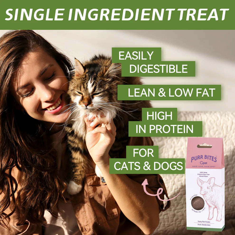 OPET Pet Treat - Pork Sliced Fillet 42g