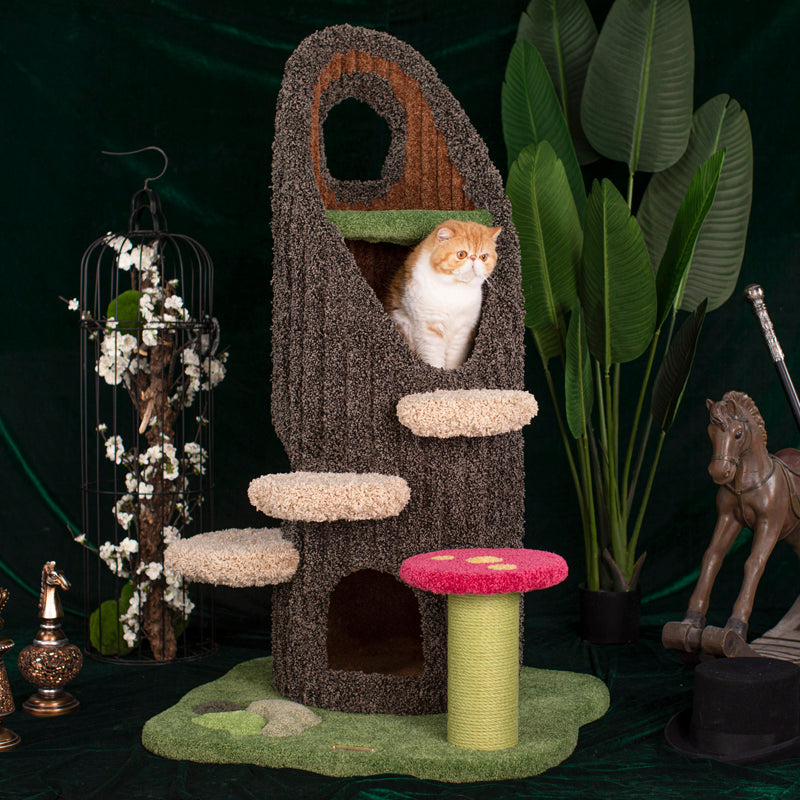 Buy cat tree online best sale