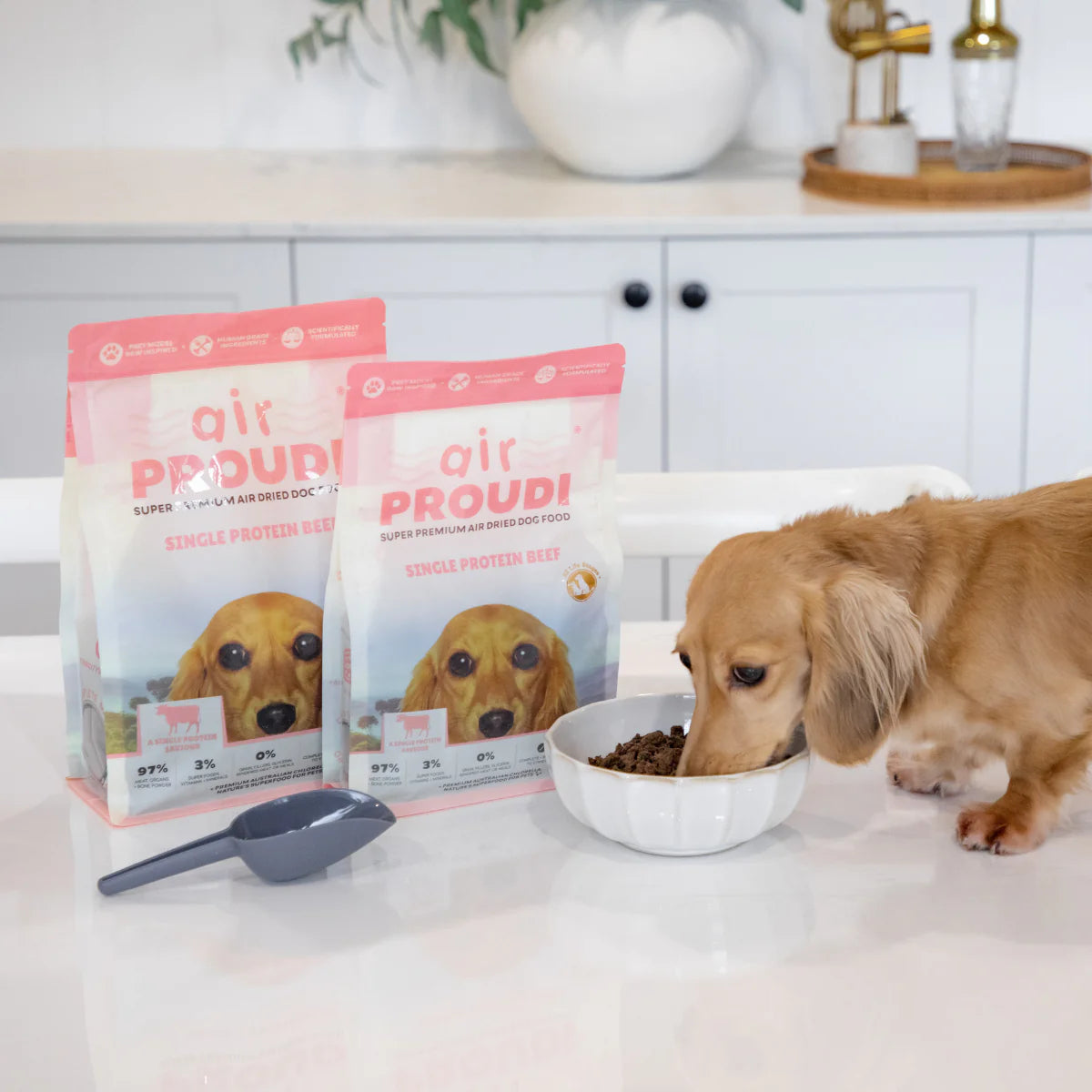 Air Proudi Air Dried Dog Food - Single Protein Beef