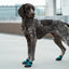 Jianbo 1 Pet Dog Hiking Shoes - 2 Shoes per Set