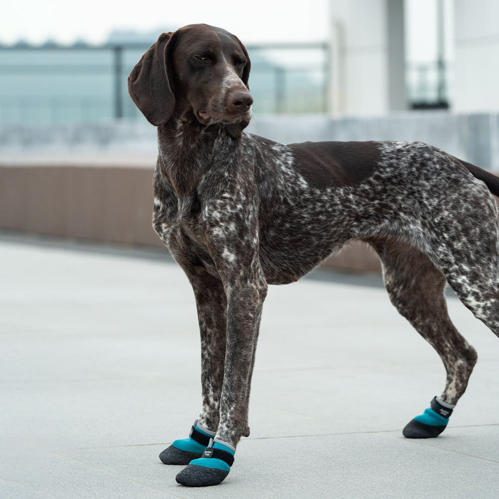 Jianbo 1 Pet Dog Hiking Shoes - 2 Shoes per Set