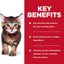 Hill's Science Diet Kitten Cat Wet Food Kitten Favorite Selection Variety Pouches 85g x 12