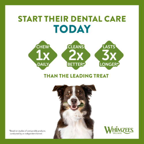 WHIMZEES® Dog Dental Treats Veggie Ear Bulk Box 18 Pack