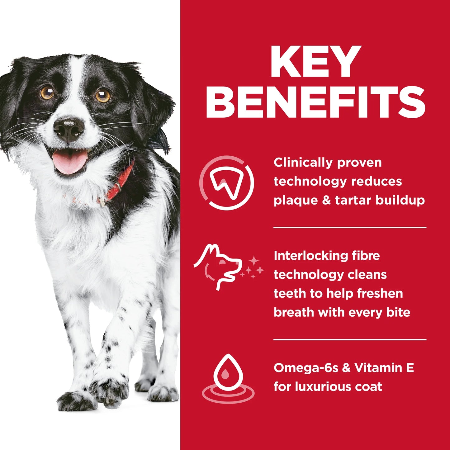 Hill's Science Diet Dog Dry Food Oral Care Small & Mini