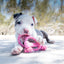 KONG Dog Toy Puppy Goodie Bone With Rope XSmall Assorted Color