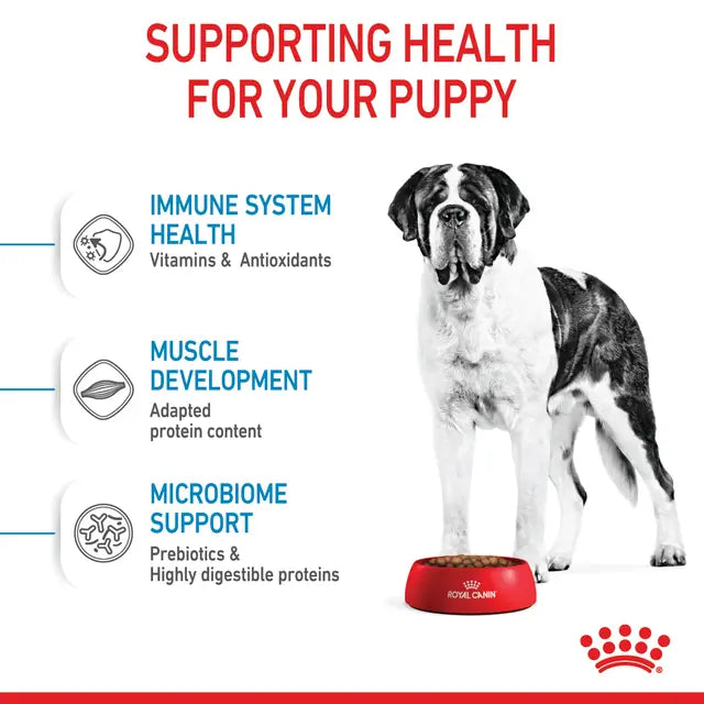 ROYAL CANIN Giant Junior Dog Dry Food 15kg