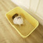 MANGO Open Oversized Splash-Proof Giant Cat Litter Box