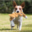 KONG Dog Toy Scrunch Knots Squirrel