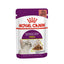 ROYAL CANIN Sensory Smell Chunks in gravy Adult Wet Cat Food 85g x 12