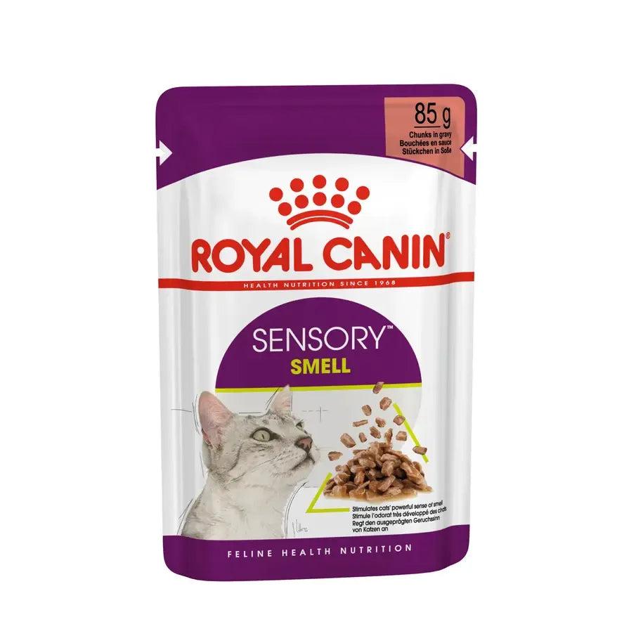 ROYAL CANIN Sensory Smell Chunks in gravy Adult Wet Cat Food 85g x 12
