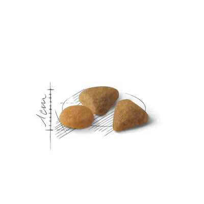 ROYAL CANIN Exigent Savour Sensation Adult Dry Cat Food