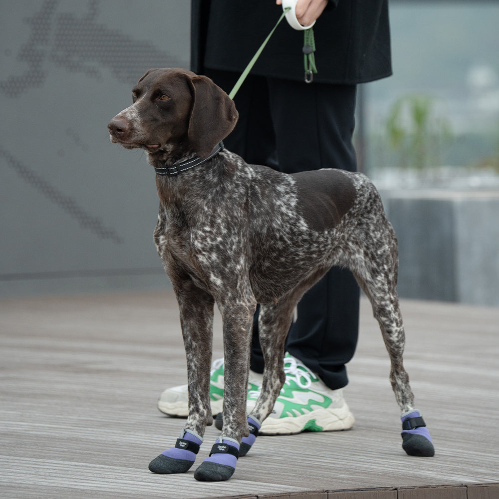 Jianbo 1 Pet Dog Hiking Shoes - 2 Shoes per Set
