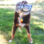 KONG Dog Toy Toughz Bunny Medium
