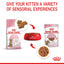 ROYAL CANIN Sterilised Kitten Gravy Wet Cat Food 85g x 12