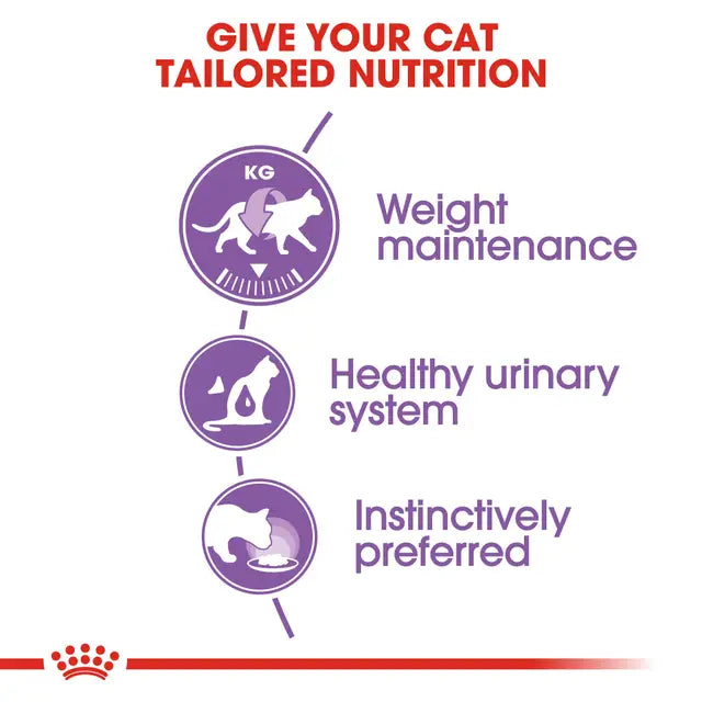 ROYAL CANIN Sterilised Adult Jelly Wet Cat Food 85g x 12