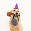 Zippypaws Dog Toy Halloween Costume Kit - Witch
