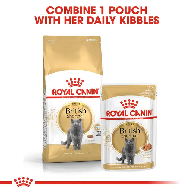 ROYAL CANIN British Shorthair Gravy Adult Wet Cat Food 85g x 12