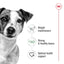 ROYAL CANIN Mini Adult Loaf Dog Wet Food Can 195g x 12