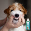 Aquadent Fresh Dental Water Additive for Dogs & Cats 500ml
