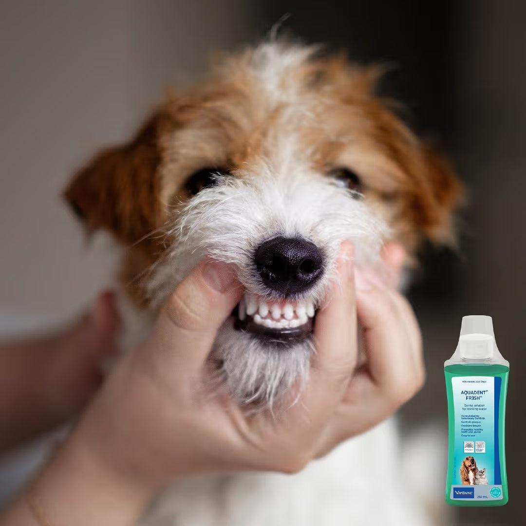 Aquadent Fresh Dental Water Additive for Dogs & Cats 500ml