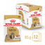 ROYAL CANIN Shih Tzu Loaf Adult Wet Dog Food 85g x 12