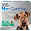 NexGard Flea & Tick Chewables For Medium Dogs 10.1-25Kg