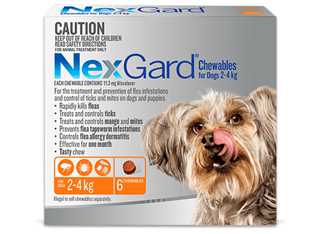 NexGard Flea & Tick Chewables For Very Small Dogs 2-4kg