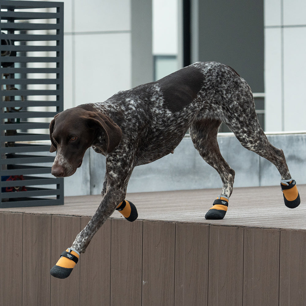 Jianbo 1 Pet Dog Hiking Shoes - 2 Shoes per Set