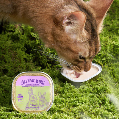 OPET Wet Cat Food Premium Bistro Box - RABBIT & BLACK TRUFFLE RECIPE