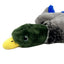KONG Dog Toy Wild Low Stuff Mallard Medium
