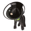 ZEEZ Adjustable Padded Recovery Cone