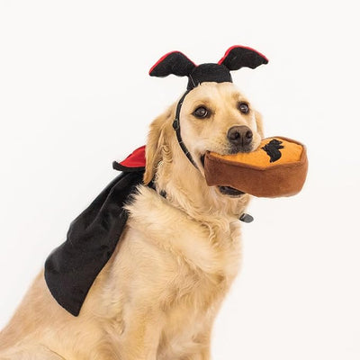 Zippypaws Dog Toy Halloween Costume Kit - Dracula