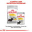 ROYAL CANIN Adult Dry Dog Food Mini Dermacomfort 3Kg