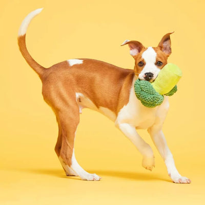 BARK Punk Brocc Plush Squeaky Dog Toy