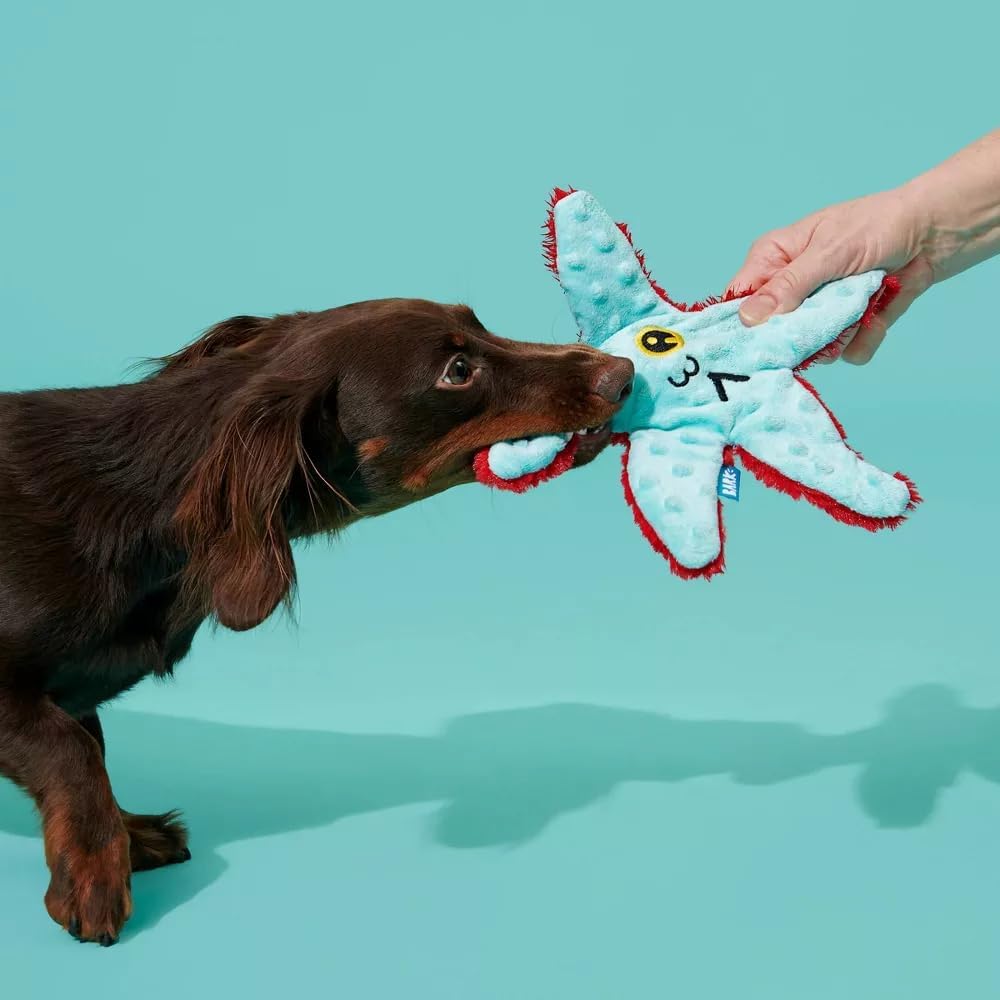 BARK Carl Starfish Plush Squeaky Dog Toy