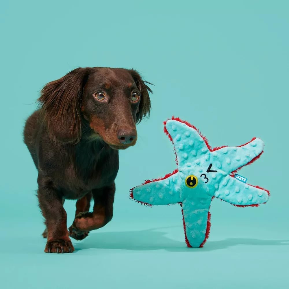 BARK Carl Starfish Plush Squeaky Dog Toy