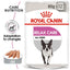 ROYAL CANIN Adult Wet Dog Food Relax Care Loaf 85g x 12