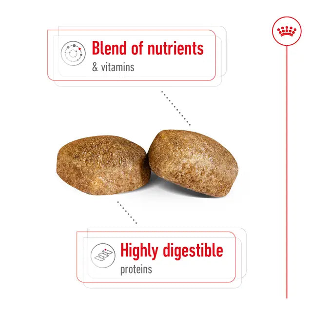 ROYAL CANIN Giant Adult Dog Dry Food 15kg