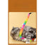 Cat Teaser Wand Toy - Rainbow Caterpillar