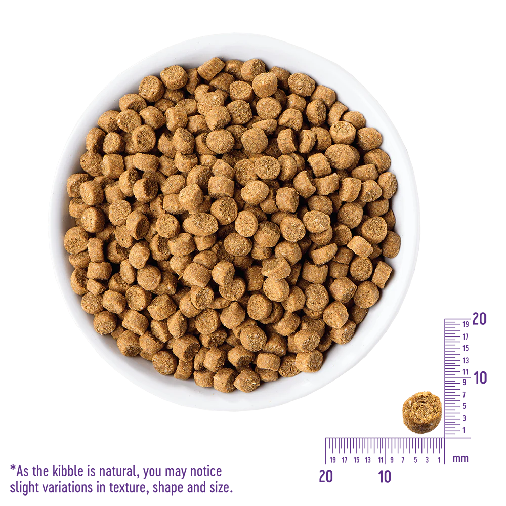 WELLNESS Core Grain Free Cat Turkey & Duck  Formula Dry Food 2.27kg