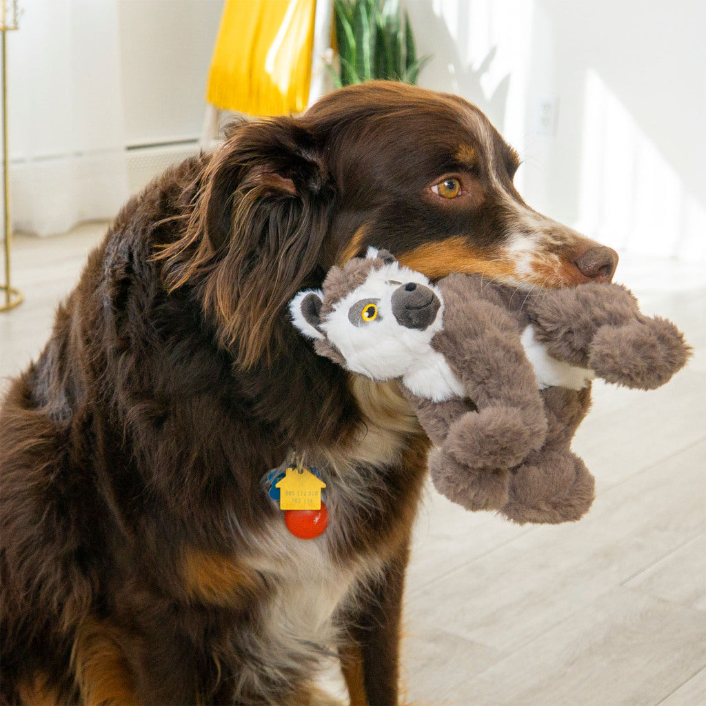 KONG Squeaky Plush Dog Toy Scampers Lemur Medium