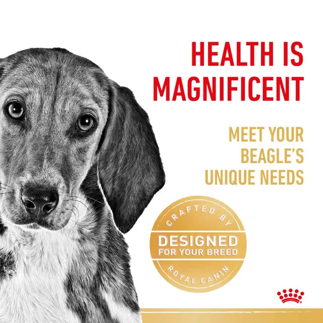 ROYAL CANIN Beagle Adult Dog Dry Food