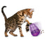 KONG Cat Toys Wobbler Treat Dispensing Toy